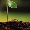 Monitoring Plant Growth and Health During the Growing Season