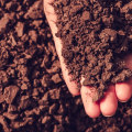 The Benefits of Soil Health and Fertility Improvement