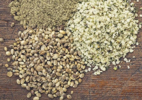 Everything You Need to Know About Hemp Protein Powder